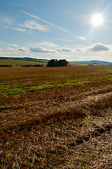 Image showing Harvested Agricultural Field