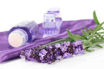 Image showing Lavender