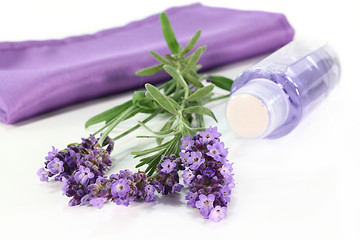 Image showing Lavender