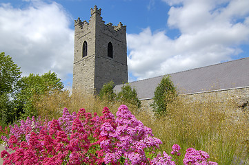 Image showing flowers and tower