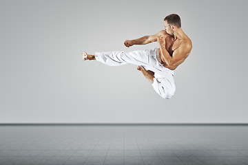 Image showing martial arts master