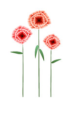 Image showing three red flowers