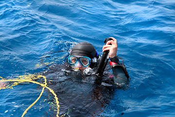 Image showing diver in water ready to dive 