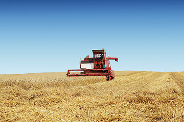 Image showing Harvesting time with a combine