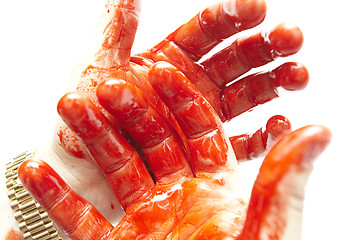 Image showing bloody hands