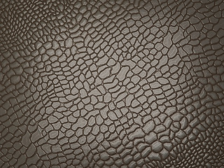 Image showing Alligator skin: useful as texture or background