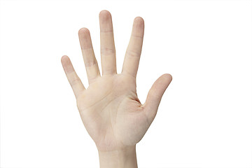 Image showing Hand counting: five 