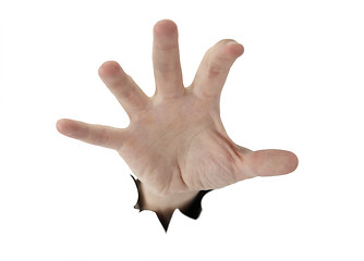 Image showing grabbing hand