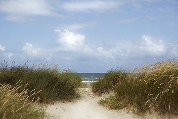 Image showing Horizon Over Water 