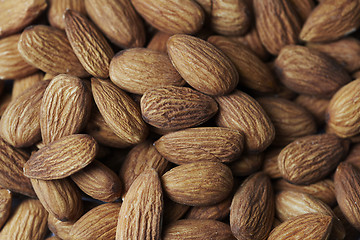 Image showing brown almond