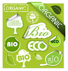 Image showing Set of bio, eco, organic elements