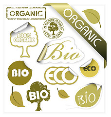 Image showing Set of vector bio, eco, organic elements