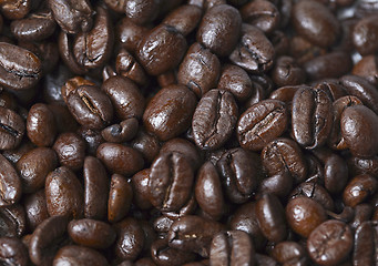 Image showing fresh coffee beans background