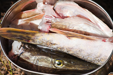 Image showing fish soup