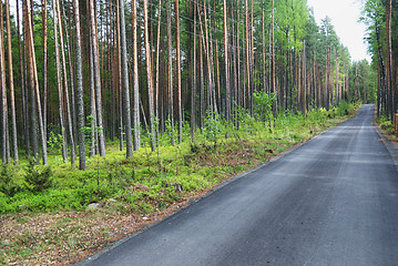 Image showing disappearing into the distance the road