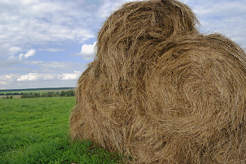Image showing straw bales on farmland 