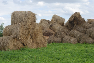 Image showing straw bales on farmland 
