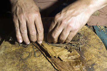 Image showing hand rolling tobacco leaves for cigar production