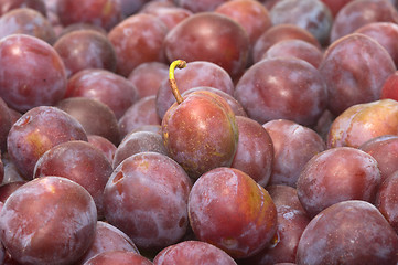 Image showing Plums.