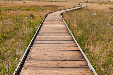 Image showing Boardwalk