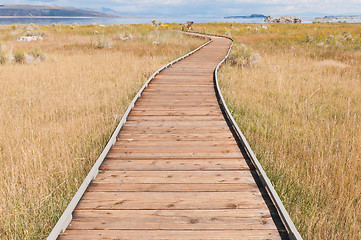 Image showing Boardwalk