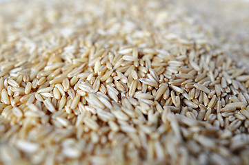 Image showing Wheat grains