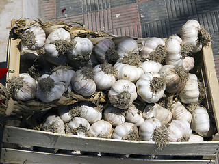 Image showing box of garlic