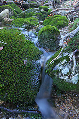 Image showing Flowing water the river in Portugal