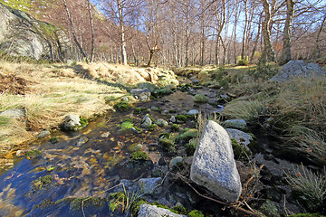 Image showing Flowing water the river in Portugal