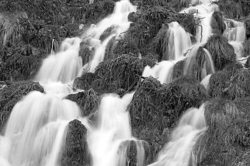 Image showing Flowing water the river in Portugal