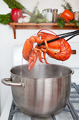 Image showing Boiled lobster