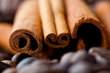 Image showing Cinnamon sticks and coffee beans