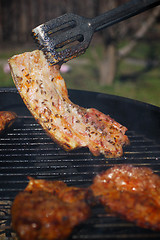 Image showing Outdoor grilling