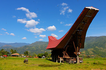 Image showing Sulawesi, Indonesia