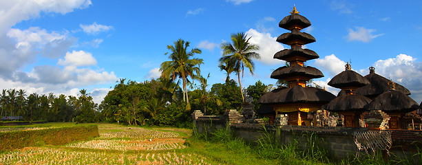 Image showing Indonesian landscape
