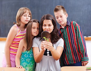 Image showing Teacher and students look at plant