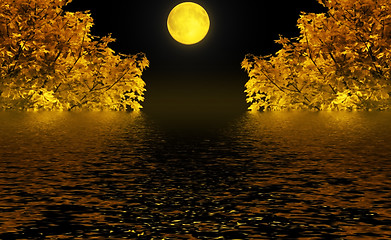 Image showing Autumn night