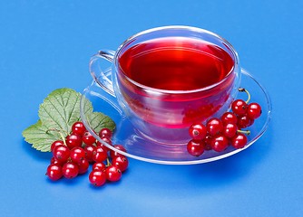 Image showing Red currant tea