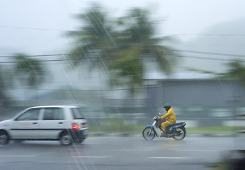 Image showing Rainfall