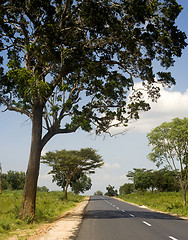 Image showing Country road in Sri Lankan