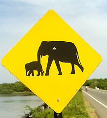 Image showing Elephant Sign