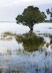 Image showing Tropical landscape 