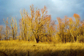 Image showing Autumn  sunset