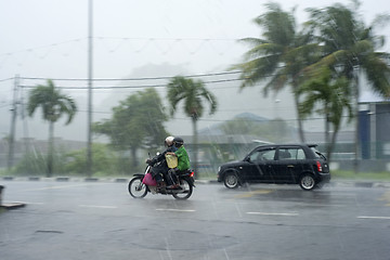 Image showing Rainfall