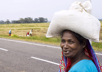 Image showing Sri Lankan woman