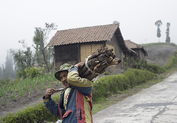 Image showing Indonesian Man