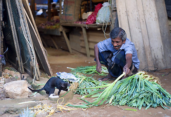 Image showing Man and kitty