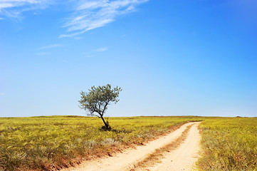 Image showing Rural landcape