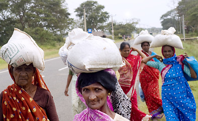 Image showing Sri Lankan women