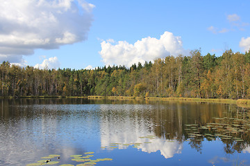 Image showing Calm Forest Lake in Finland